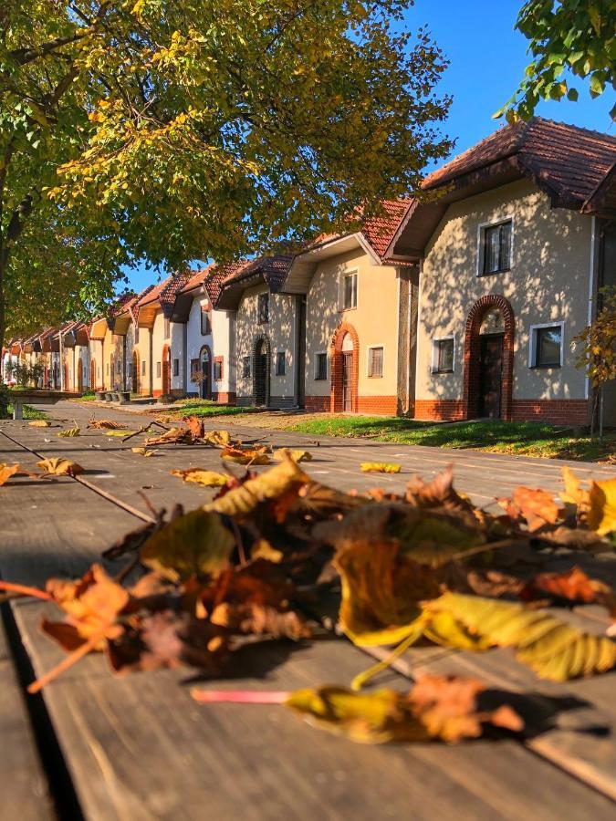 Cejkovsky Dvorek Cejkovice  Buitenkant foto